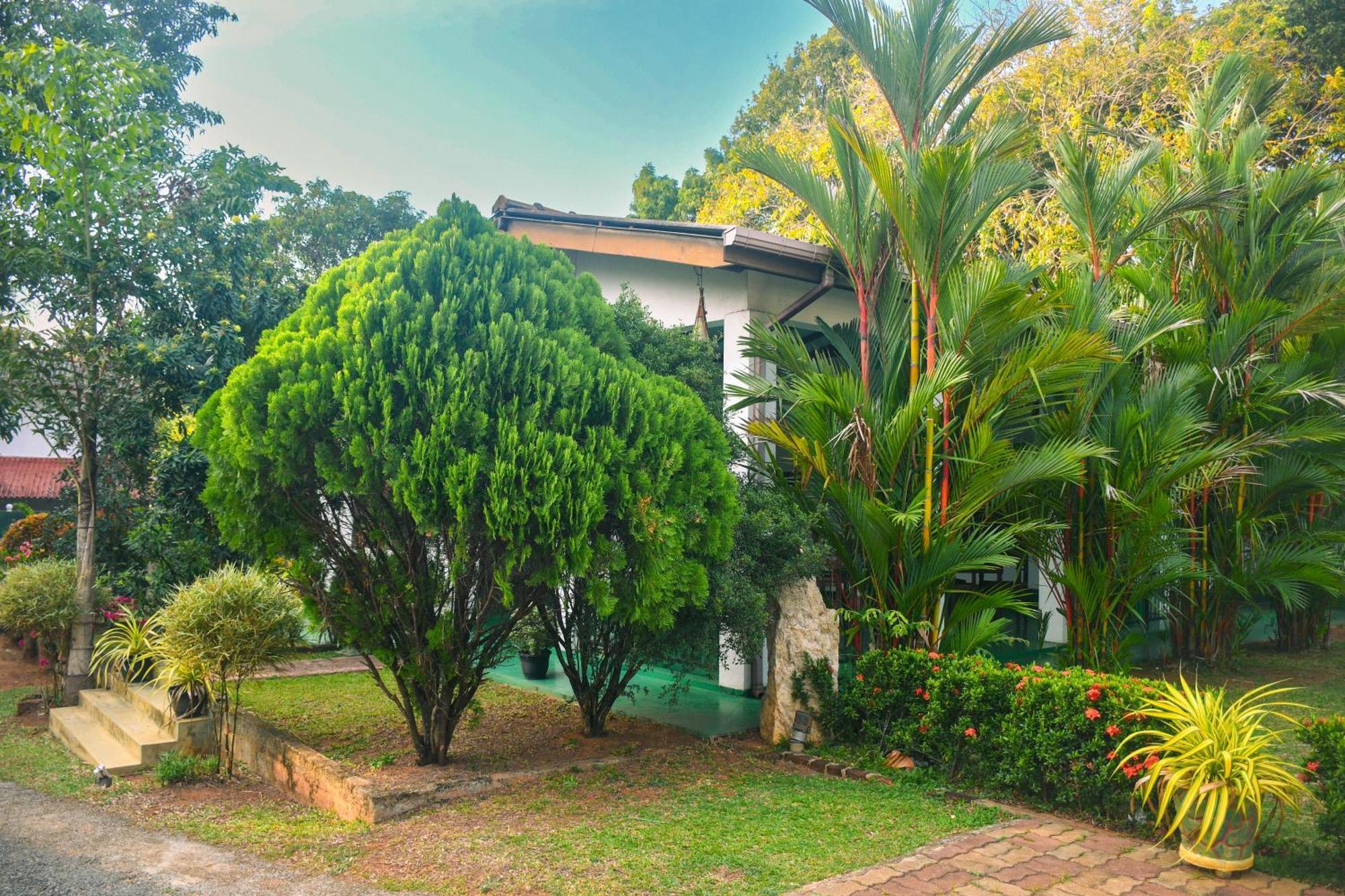 White Eagle Hotel Sigiriya Exterior foto